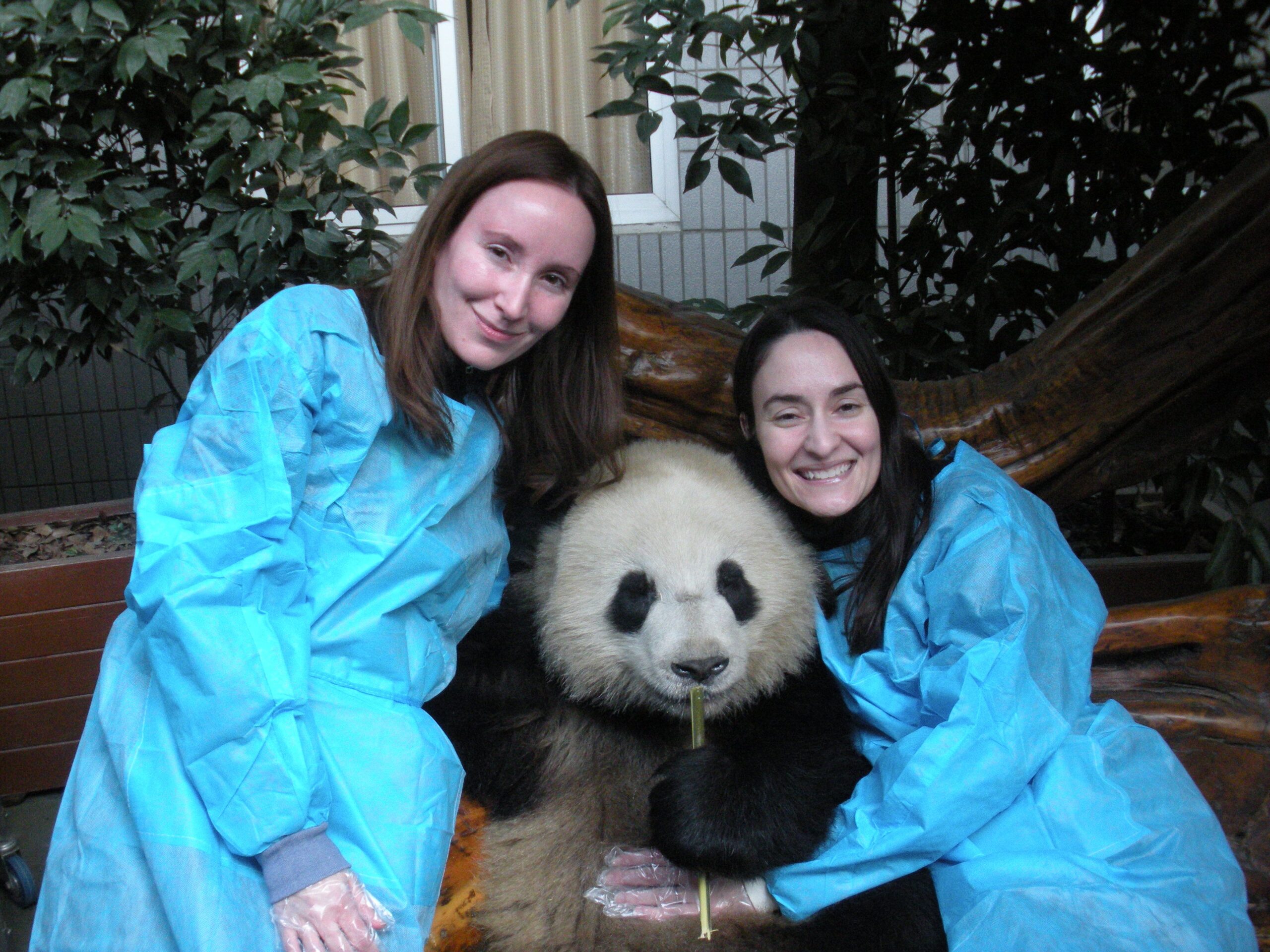 Chengdu Panda Base