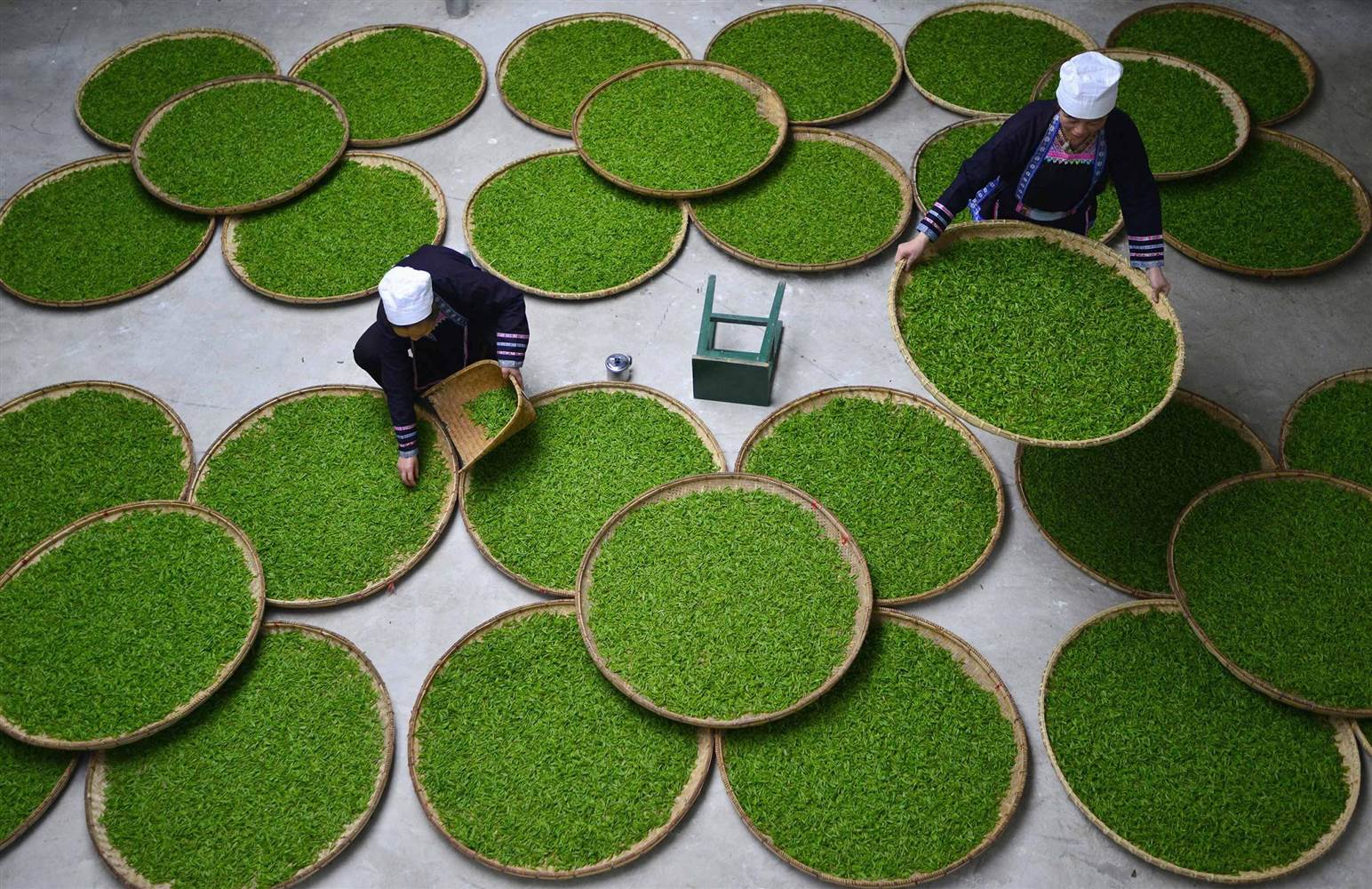photo of how tea is dried