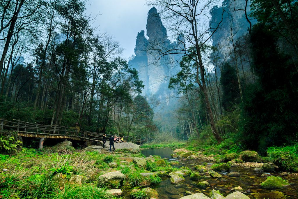 Zhangjiajie Golden Whip Stream