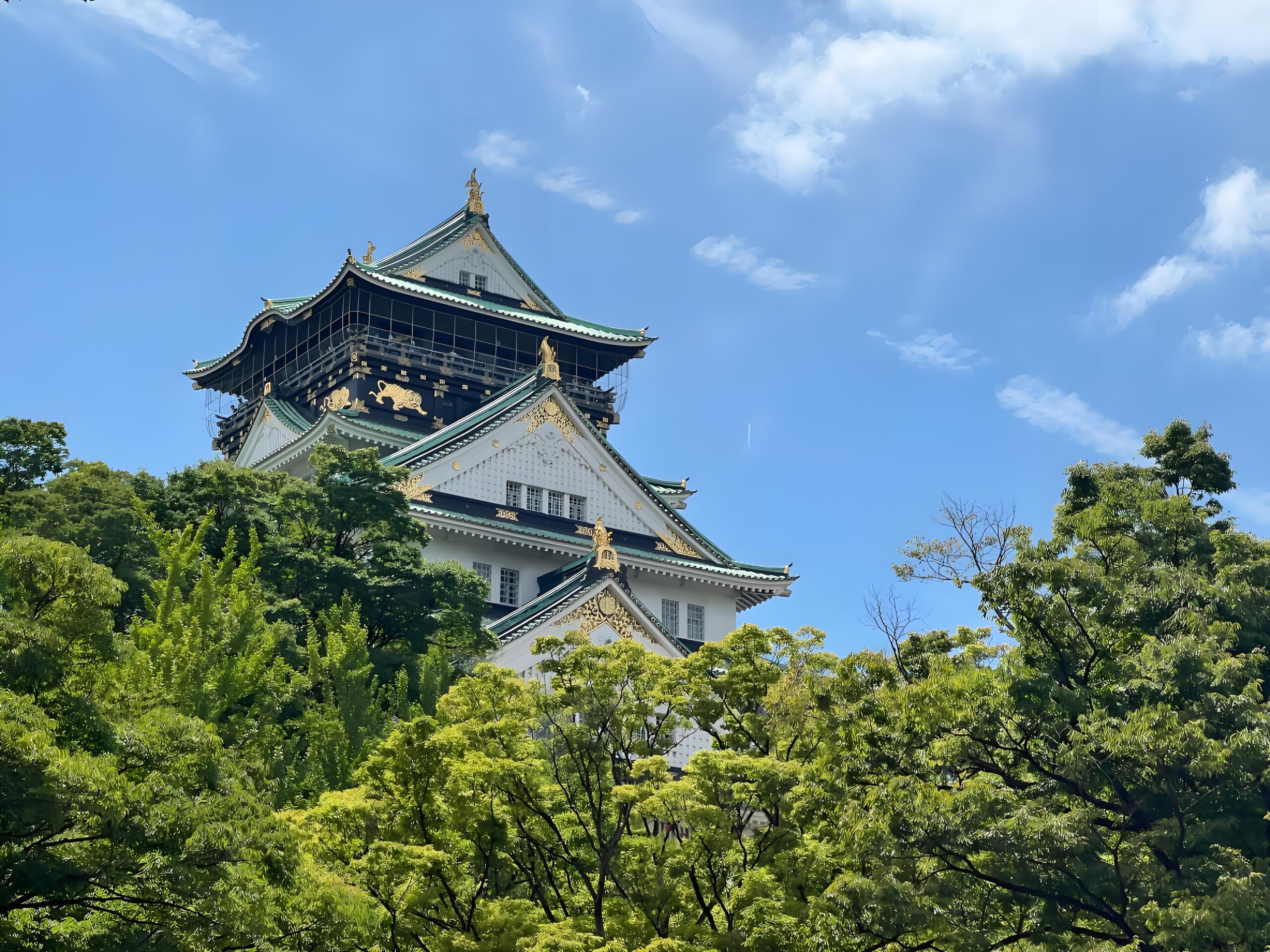 The Osaka castle park photo