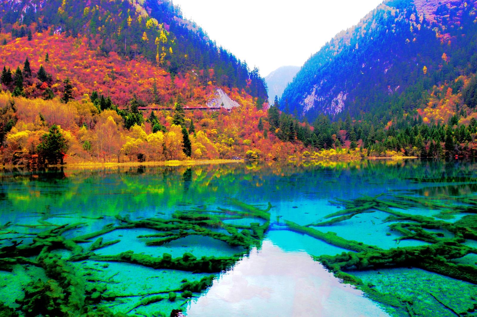 photo of the Jiuzhaigou National Park