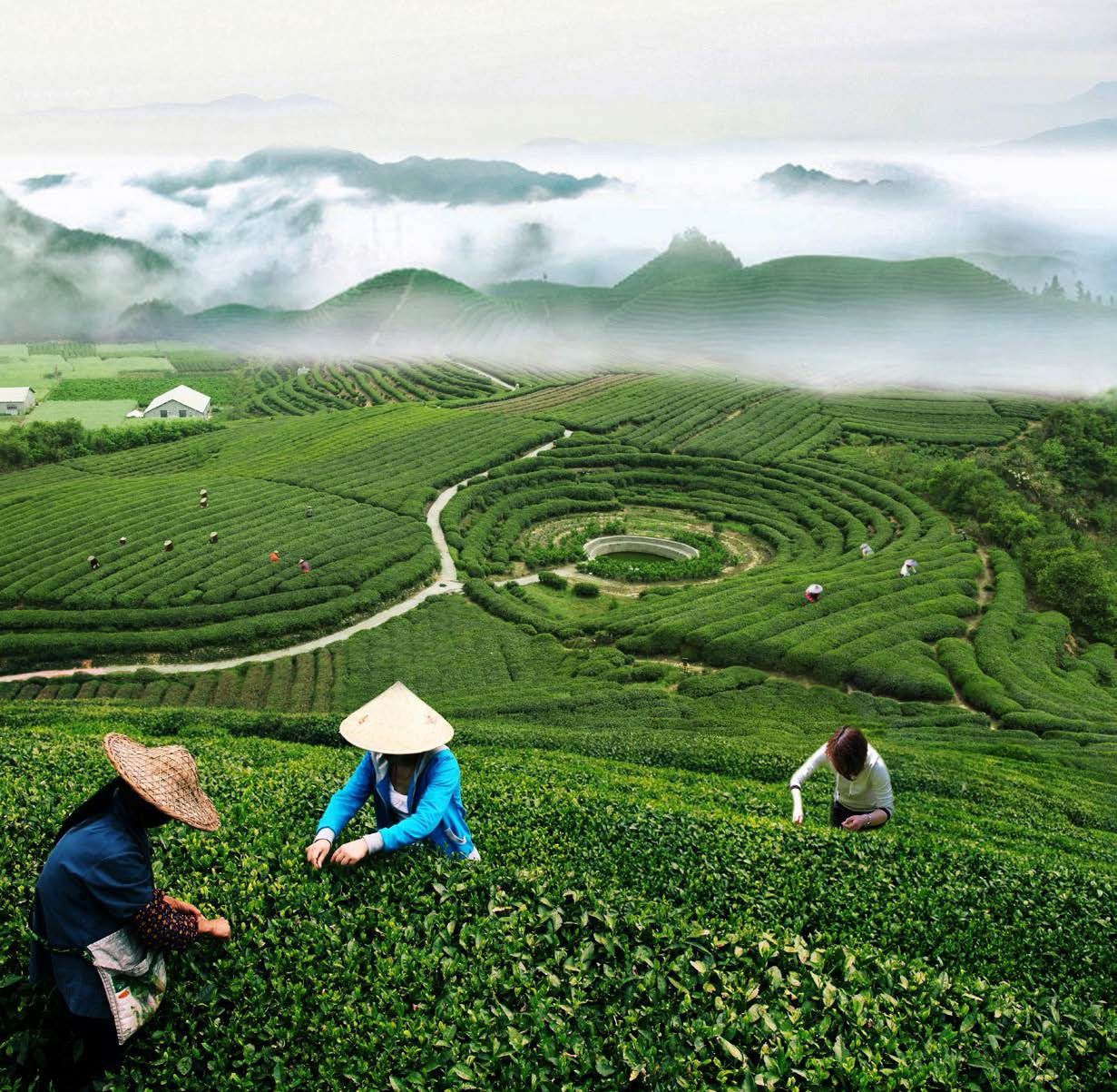 photo of Hangzhou