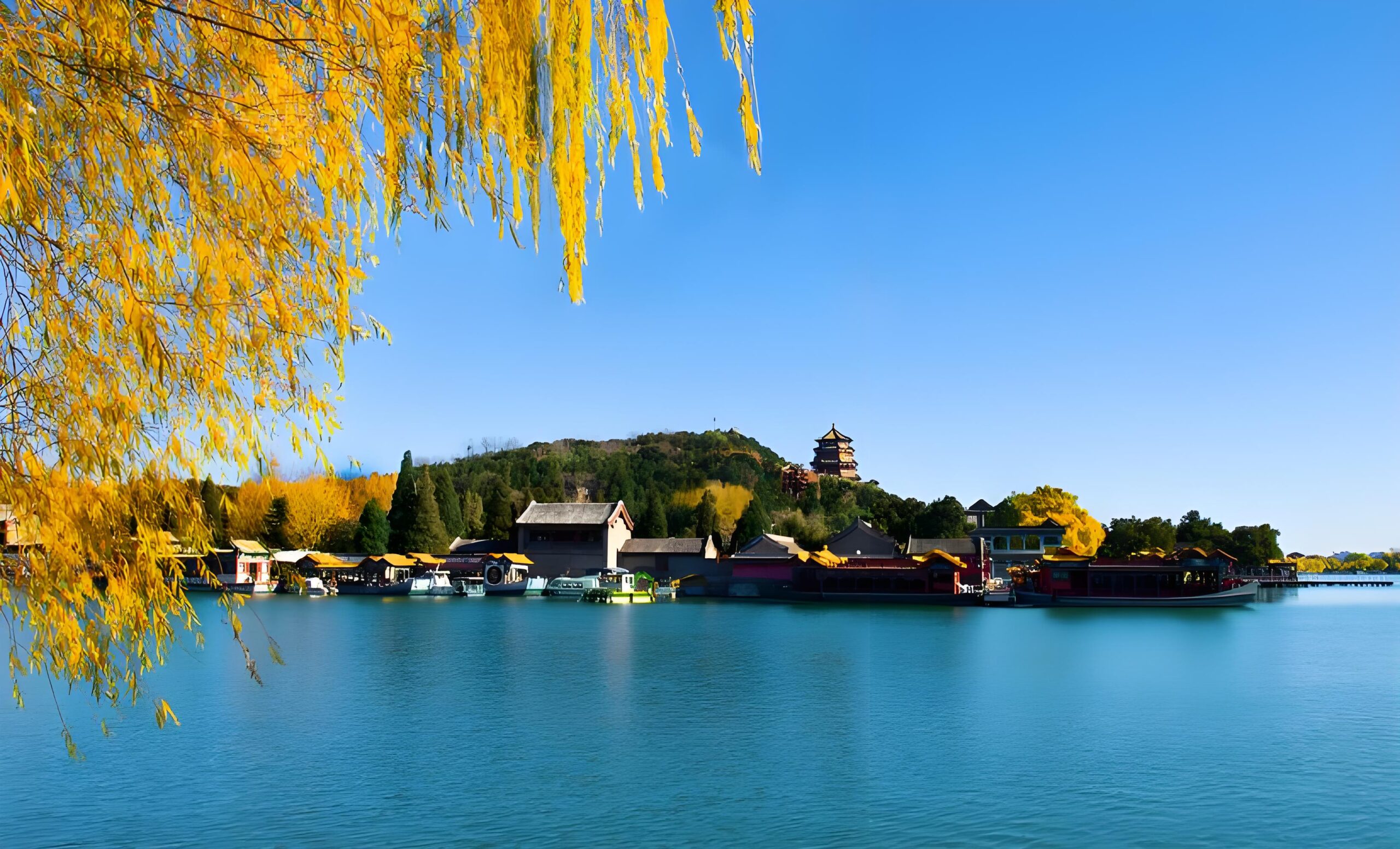 The Summer Palace photo