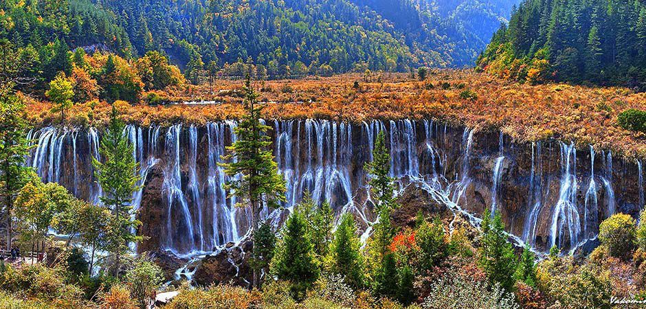 Private 5 Days Chengdu & Jiuzhaigou Tour — ROOYEE curated journey in China